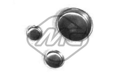 Užšalęs kaištis 02531 Metalcaucho